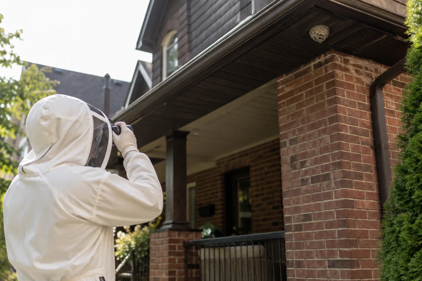 Wasp nest near a Toronto entrance: keep distance and document the access risk