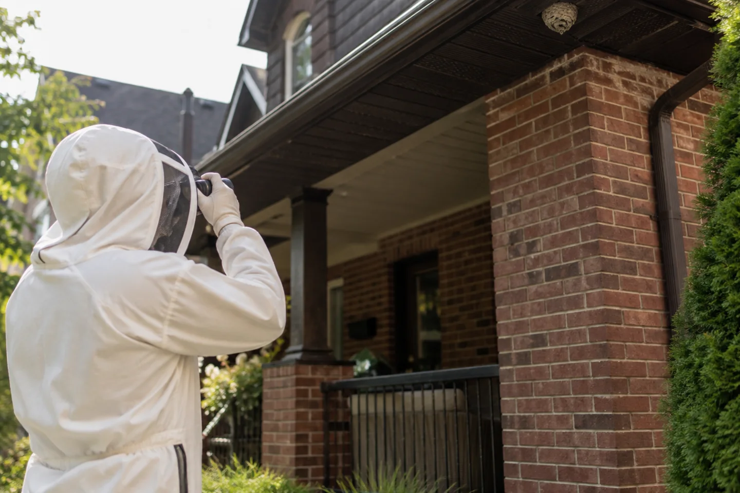 Wasps and hornets in Toronto: nest identification, access risk and seasonal constraints